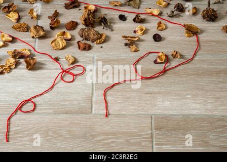 Petali di fiori secchi insieme a foglie verdi e fili rossi che rappresentano la solitudine e la speranza nella quarantena COVID 19 in Guatemala Foto Stock