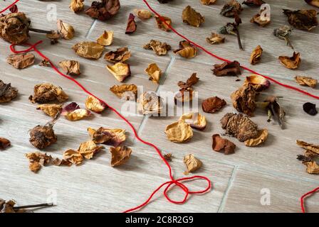 Petali di fiori secchi insieme a foglie verdi e fili rossi che rappresentano la solitudine e la speranza nella quarantena COVID 19 in Guatemala Foto Stock