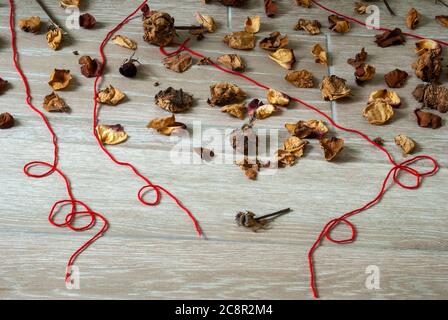 Petali di fiori secchi insieme a foglie verdi e fili rossi che rappresentano la solitudine e la speranza nella quarantena COVID 19 in Guatemala Foto Stock