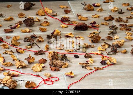 Petali di fiori secchi insieme a foglie verdi e fili rossi che rappresentano la solitudine e la speranza nella quarantena COVID 19 in Guatemala Foto Stock