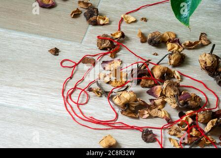 Petali di fiori secchi insieme a foglie verdi e fili rossi che rappresentano la solitudine e la speranza nella quarantena COVID 19 in Guatemala Foto Stock
