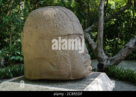 Una gigantesca testa di pietra scolpita dalle rovine Olmec di la Venta. Periodo preclassico (700-400 a.C.). Museo la Venta, Villahermosa, Messico. Foto Stock