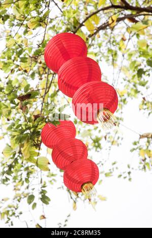 Lanterne rosse in tessuto fatte a mano appese sull'albero per il nuovo anno cinese in una chinatown Foto Stock
