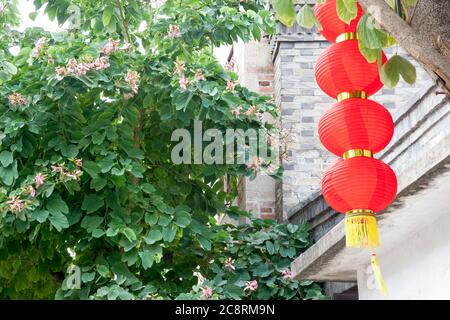 Lanterna rossa decorativa appesa su un albero con muro di mattoni e sfondo albero bauhinia, Cina Foto Stock