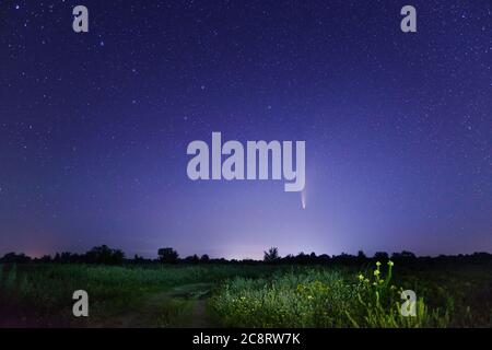 Splendido paesaggio notturno con cometa neoswise nel cielo stellato Foto Stock