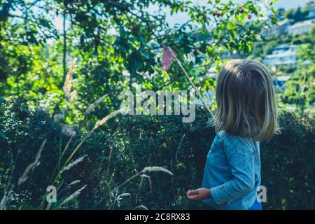 Un po' di preschooler si trova in piedi presso la siepe in giardino in estate Foto Stock