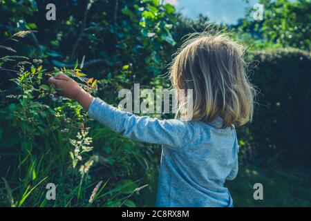 Un po' di preschooler si trova in piedi presso la siepe in giardino in estate Foto Stock