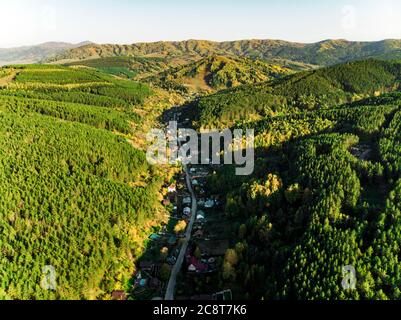 Veduta aerea di una piccola città nel territorio di Altai. Vista dall'alto della cittadina di Belokurikha. Vista dall'alto delle case tra le foreste sul Foto Stock