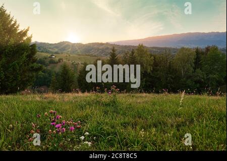 Bellissimo paesaggio montano in Carpazi, Romania Foto Stock