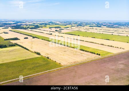 Raccolta di mais nei campi con vista dall'alto dell'antenna autunnale. Vista agricola dall'alto. Boschi e campi d'autunno con un occhio di uccello. Grande campo dopo l'antenna di raccolto Foto Stock