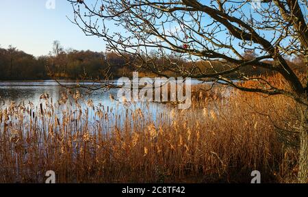 vista sul lago al sole d'inverno Foto Stock