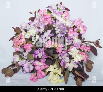 Arrangiamento floreale con piselli dolci e Coggygria di Cotinus Foto Stock