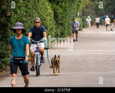 L'uomo, ignorando il mandato della maschera facciale, sta andando in bicicletta nel parco con il cane, come altre persone che indossano maschere stanno camminando dietro di lui, controllando i telefoni cellulari, non esercitandosi. Foto Stock