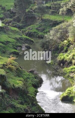 Acqua che scorre nel torrente tra le rive ripide colpite dalla deforestazione e successiva erosione del suolo. Foto Stock