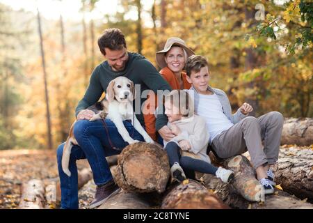 Famiglia con bambini piccoli e cane in una passeggiata nella foresta d'autunno. Foto Stock