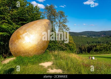 Foresta scultura sentiero Wittgensteiner Sauerland, 23 km lungo sentiero, parte del Rothaarsteig lungo percorso escursionistico, la scultura è stato il primo, b Foto Stock