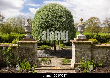 Lytes Cary Manor casa con cappella associata e giardini vicino a Charlton Mackrell e Somerton nel Somerset Foto Stock