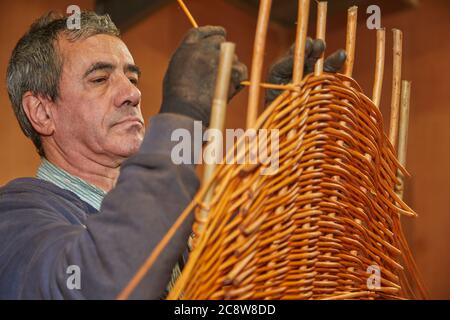 Una bara di salice che è fatta a mano usando i gambi di salice raccolti localmente, vicino a Westonzoyland, Somerset, Gran Bretagna. Foto Stock