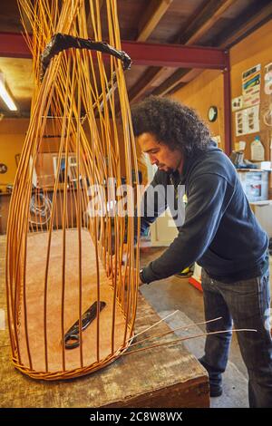 Una bara di salice che è fatta a mano usando i gambi di salice raccolti localmente, vicino a Westonzoyland, Somerset, Gran Bretagna. Foto Stock