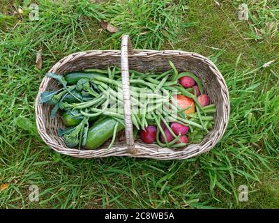 Cesto di frutta e verdura in vimini con fagioli, mele, zucchine Foto Stock