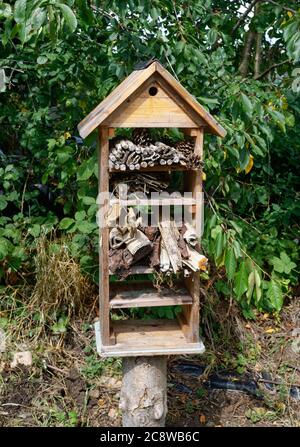 Legno 'bug hotel' per l'ambiente e gli insetti Foto Stock