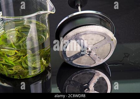 viene preparato il tè fresco di foglie di menta piperita Foto Stock