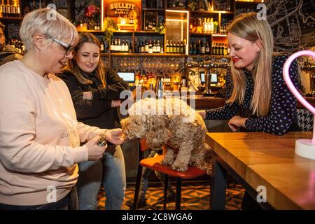 Cockapoo e l'evento di cani da compagnia francese Bulldog a Shoreditch, dove i proprietari di cani portano i loro cani nel bar per un incontro a Londra Est, Regno Unito. Foto Stock