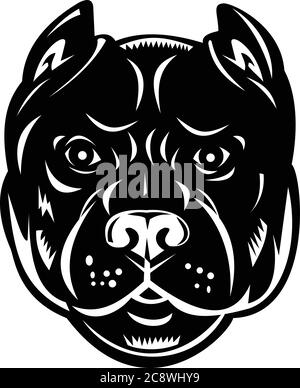 Retrò woodcut illustrazione di stile di una testa di un pozzo toro, un tipo di cane disceso da bulldog e terrori, visto dalla parte anteriore su sfondo isolato Illustrazione Vettoriale