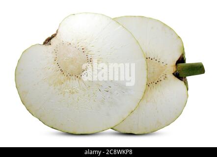 Frutto del pane (Artocarpus altilis) isolato su sfondo bianco Foto Stock