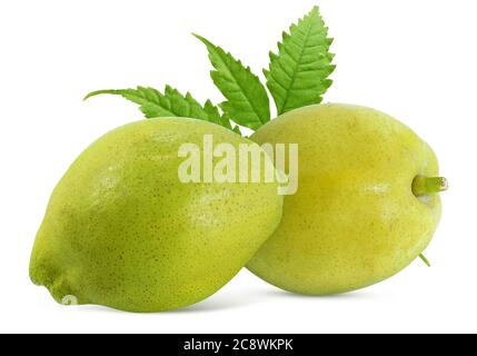 Par Chinese Fruit isolato su sfondo bianco Foto Stock