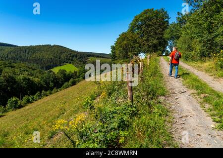 Escursioni a Sauerland, sentiero nei pressi di Oberkirchen, distretto di Schmallenberg, NRW, Germania, Foto Stock