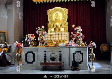 Seduto Golden Buddha statua in un tempio buddista a Mulagandhakuti vihara, Sarnath, Varanasi. Foto Stock