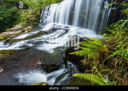 Bella cascata circondata da verde lussureggiante fogliame in una foresta (Sgwd Clun-Gwyn, Galles, Regno Unito) Foto Stock