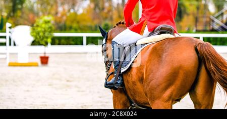 Cavallo dressage e cavaliere in uniforme rossa che esegue il salto alla competizione show jumping. Sport equestre sfondo. Ritratto di cavallo di castagno durante Foto Stock