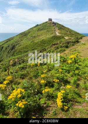 Il pulpello di San Michele su Rame Head, Cornovaglia, si trova sul punto più alto della penisola di Rame, un'area di straordinaria bellezza naturale Foto Stock