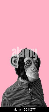uomo che indossa una maschera scimmia, in bianco e nero, su sfondo rosa con uno spazio vuoto in alto, in formato verticale da utilizzare per storie mobili o come Foto Stock