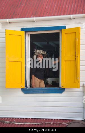 Una signora attraente in un cappello molto fiorito pone per la macchina fotografica in una finestra aperta gialla chiusa a St Johns, isola di Antigua, i Caraibi Foto Stock