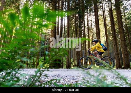 Bambini in bicicletta nella foresta Foto Stock