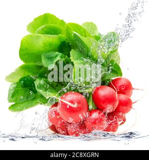 Ravanelli fresca caduta in acqua pura Foto Stock