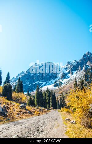 Abete verde sullo sfondo di montagne innevate. Cielo limpido. Paesaggio montano d'autunno. Foto Stock