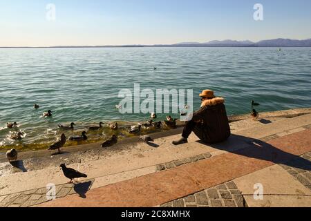 Una donna di mezza età seduta sul lungolago in pavimentazione circondata da piccioni e anatre selvatiche in una giornata di sole in inverno, Lago di Garda, Lazise, Veneto, Italia Foto Stock