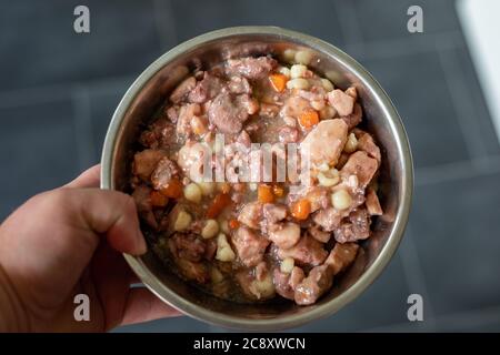 cibo bagnato per cani e gatti in ciotola d'argento Foto Stock