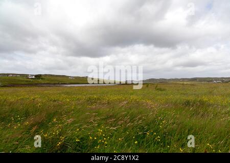 Vista di Callanish e Loch Gealava, Isola di Lewis, Isole occidentali, Ebridi esterne, Scozia, Regno Unito Foto Stock