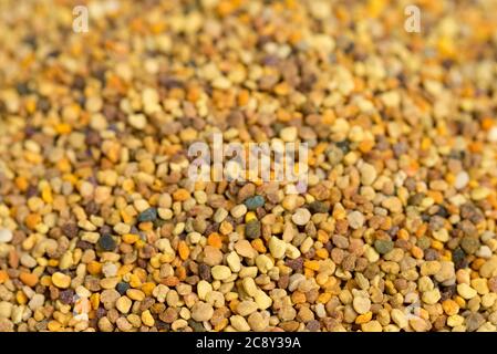 grani di polline di ape closeup fuoco selettivo backround Foto Stock