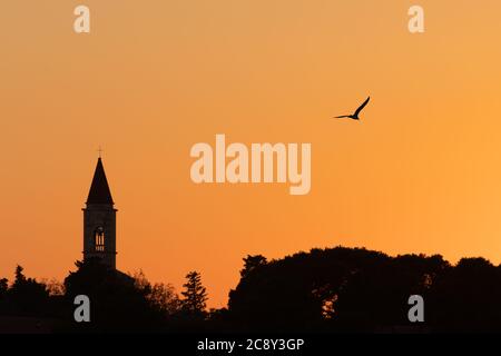 Silhouette della chiesa cristiana sull'isola croata di Ugljan e gabbiano che volano nel cielo arancione luminoso del tramonto. Religione, fede, speranza, viaggi e turismo Foto Stock