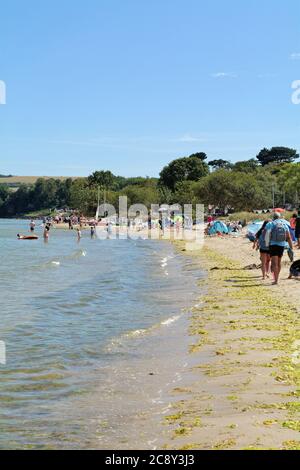 Una affollata spiaggia di Knoll a Studland Bay in una calda e soleggiata giornata estiva, Dorset England UK Foto Stock