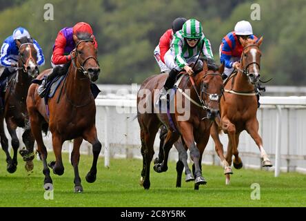 Saffie Osborne a bordo di Hot Scoop vince il British EBF Novice Stakes presso il Royal Windsor Racecourse. Foto Stock