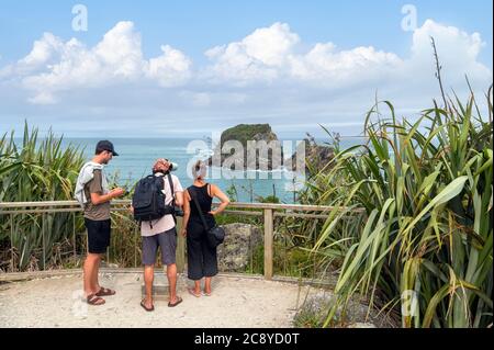 Turisti a Tauranga Bay Seal Colony, Capo Foulwind, vicino a Westport, West Coast, South Island, Nuova Zelanda Foto Stock