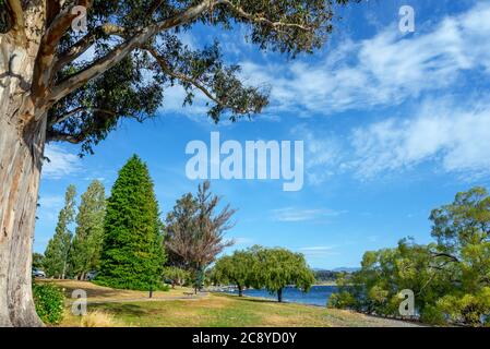 Sentiero lungo la riva del Lago te Anau, te Anau, Southland, South Island, Nuova Zelanda Foto Stock