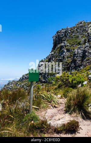Table Mountain National Park scheda informativa vuota verde a Città del Capo, Sud Africa. Foto Stock